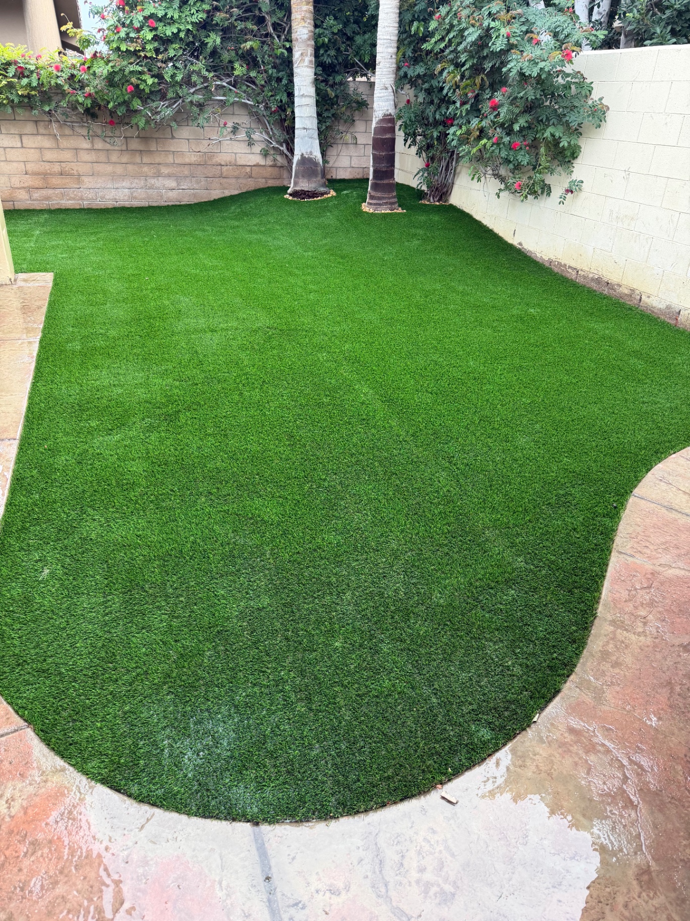 Artificial turf installation with curved edge around stone patio and palm trees